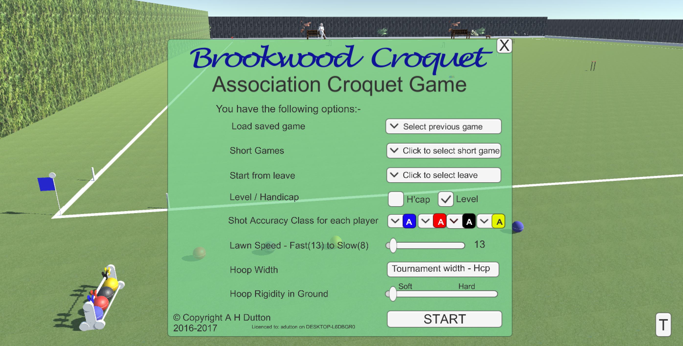 Association Croquet Game Brookwood Croquet